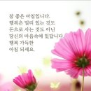10월 29일 목요일 ♡토끼사랑방♡ 이미지