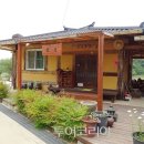 두동편백마을