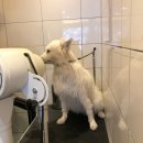 스파츄스 이미지