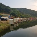 천평낚시터 이미지