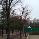 서울변호사교육문화관 이미지