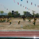 매안초등학교 이미지