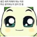 흥 이미지