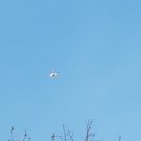 인천보훈병원 이미지