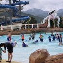 슈퍼파워 태권도 이미지