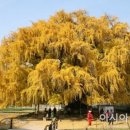 장수서창동-15 이미지