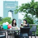 카페솔거랑 노컷뉴스