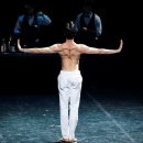 순수 프로젝트 이미지