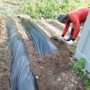 산북농장 이미지