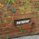 올더그라운드 이미지