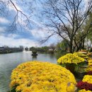 궁남지 서문주차장 이미지