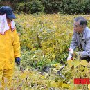 평곡4리 이미지