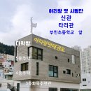 아리랑 멋 타리 태권도장 네이버블로그