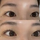 청수극동아파트(2차) | N년째 다니고 있는 청수동 숨어있는 속눈썹 맛집 단뷰티 💅