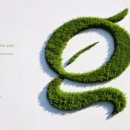 디지털 컨텐츠 제작 실무 이미지