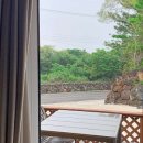 비자림라파 이미지