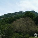 미륵리사지길 이미지