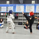 솔로몬태권도 이미지