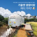 가을엔 댕댕이랑 어디 가지?