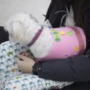 부평구 청소년수련관(체육관로76) 이미지