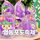 도이치트럭판매서비스(주) | 영동 가볼만한곳 2026년 영동포도축제 일정 가수 주차 후기