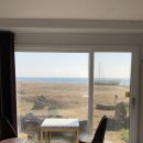 하도 로운이네 이미지