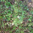 선녀경로당 이미지