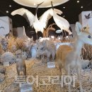 DMZ 안보관광 코스 이미지