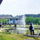 삼성현역사문화공원 Daum카페