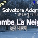 샹송듣기] Salvatore Adamo - Tombe La Neige (눈이 내리네) 이미지