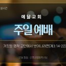 11월 24일 주일예배 설교영상 이미지