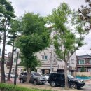 솔로몬부동산중개 이미지