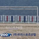 지촌초등학교 이미지