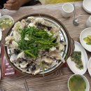 아구랑대구랑 이미지
