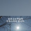 보은차유리