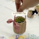 이오난사 미니라탄바구니 이미지