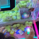 엘리스(인형뽑기방) 이미지