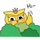 일리있는디자인 이미지