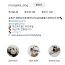 몽라이크(monglike) | 금천구에 위치한 믿을수 있는 애견유치원 '몽라이크'