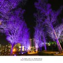 소망공원 이미지