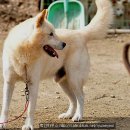 별이 이미지