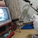 포동이농장 이미지