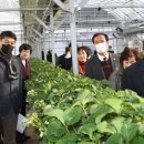 경영농장 이미지