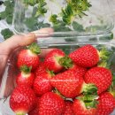 기두농장 이미지