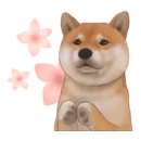엘앤비투어