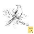 연필스케치 이미지