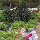 재이농장 이미지