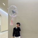 화동초등 | 울산 대구 부산 초등 남아 정장대여해서 화동하기