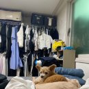 8/12-8/18 일상모음