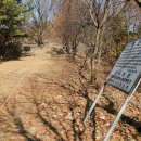 봉덕토성(용두토성) 이미지